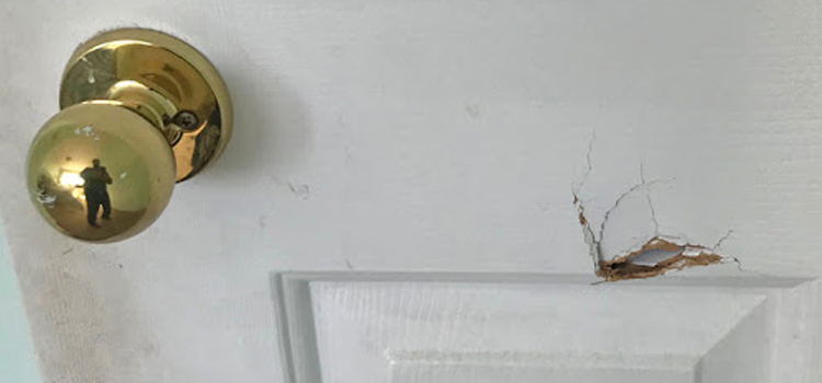 interior door hole repair Lomita