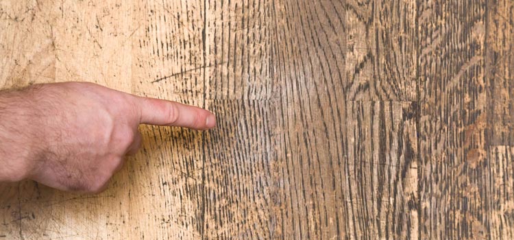 Wood Door Scratch Repair in Lomita